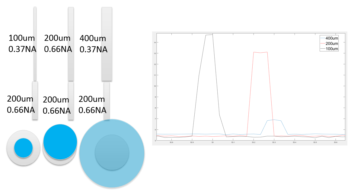Fiber photometry