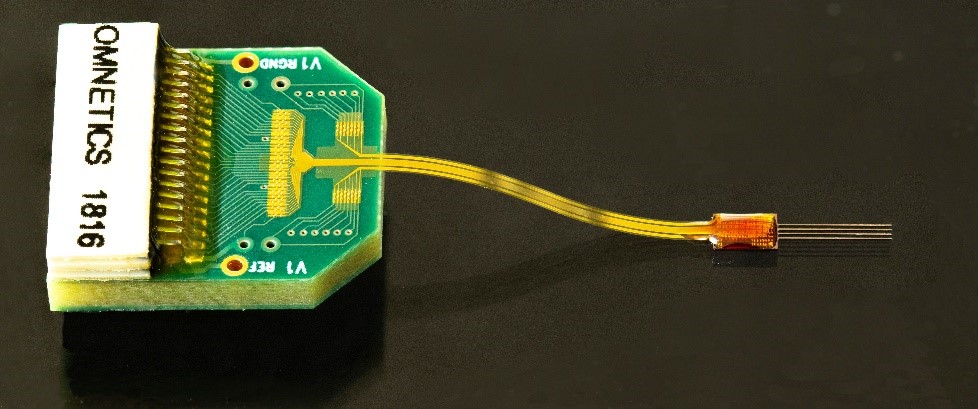 Chronic NeuroLight Optoelectrode