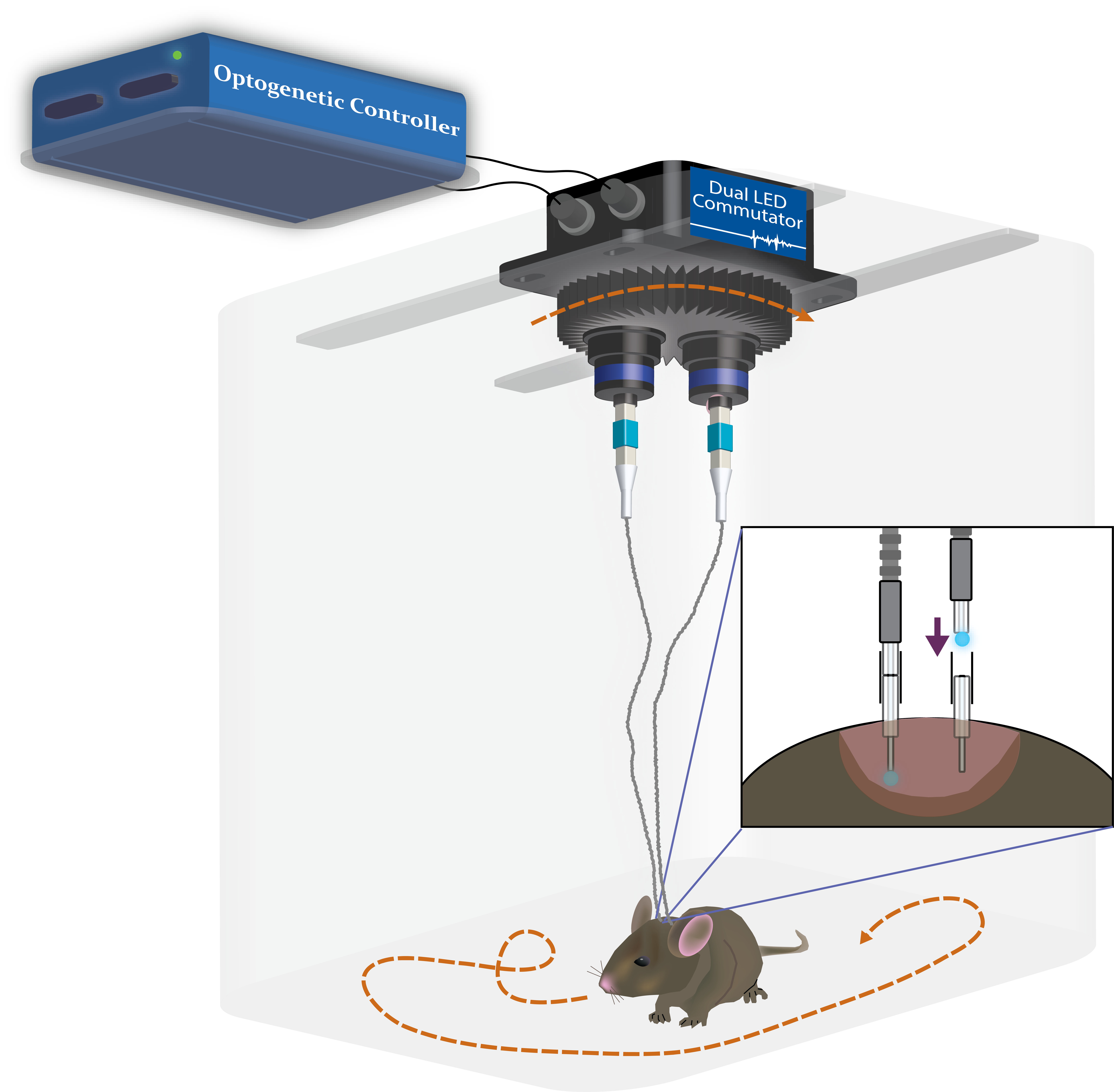 Integrate Behavioral Tracking with Calcium Imaging and Optogenetics