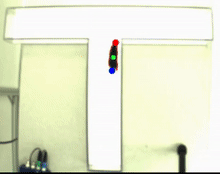Behavioral tracking - t maze