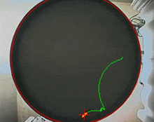 Behavioral tracking - Water maze