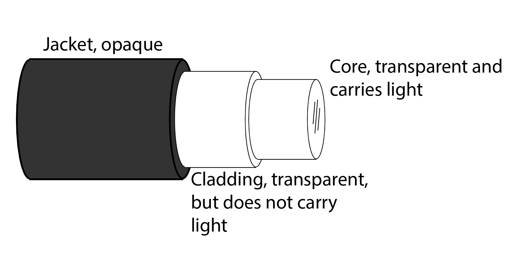 optogenetic equipment